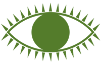 A Ripple Effect Vision